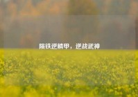 陨铁逆鳞甲，逆战武神