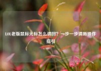 LOL老版鼠标光标怎么调回？一步一步清晰操作指引