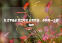 生活不是有复活甲的王者荣耀，你的每一步都算数