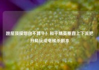 跳屋顶摸烟囱不算牛！和平精英垂直上下流把开局玩成电梯杀剧本