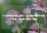 PUBG最新热成像Bug曝光！秒扫雨林雪地伏地魔？蓝洞，触发即十年封+清档