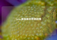 Steam角落里的带刺玫瑰