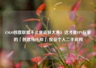 CSGO创意联盟不止是皮肤大赛！这才是FPS玩家的「创意乌托邦」 仪征个人二手房网