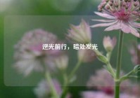 逆光前行，暗处发光