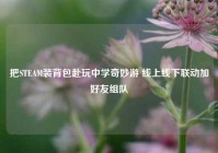 把STEAM装背包赴玩中学奇妙游 线上线下联动加好友组队
