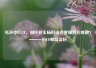 骂声中的CF，国民射击场的语言雾霾为何难散？——一份CF辱骂调研