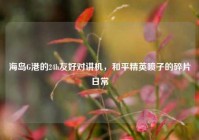 海岛G港的24h友好对讲机，和平精英喷子的碎片日常