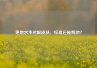 绝地求生时限皮肤，惊喜还是鸡肋？