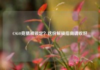 CSGO竞猜被锁定？这份解锁指南请收好