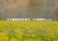 从不瞄准的战术鬼才，CSGO爱德华gaming