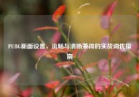 PUBG画面设置，流畅与清晰兼得的实战调优指南
