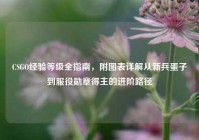 CSGO经验等级全指南，附图表详解从新兵蛋子到服役勋章得主的进阶路径