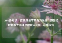 CSGO冷知识，近战段位不只有刀杀王！蹲跳接枪刺客大师才是隐藏天花板+详细段位