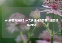 CSGO屏幕有波纹？一文快速排查修复，重回丝滑战场！