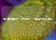PUBG韩服汉化下载全攻略，三步告别韩文界面！