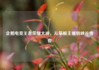 企鹅电竞王者荣耀大神，从草根主播到峡谷传奇