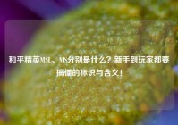 和平精英MSL、MS分别是什么？新手到玩家都要搞懂的标识与含义！