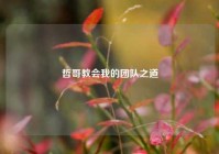 哲哥教会我的团队之道