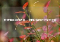 枪林弹雨中的诗意，CF里好听的四个字男生ID