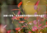 剑姬VS龙龟，无双剑姬如何撕裂反伤甲铁壁？