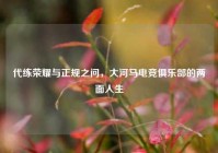 代练荣耀与正规之问，大河马电竞俱乐部的两面人生