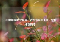 CSGO减动画完全指南，告别卡顿与干扰，让枪法更纯粹