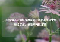 CSGO声音怎么调超实用指南，从听不清脚步到精准定位，提胜率关键细节