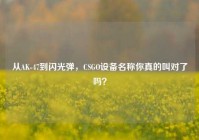从AK-47到闪光弹，CSGO设备名称你真的叫对了吗？