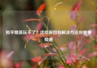 和平精英玩不了？这些原因和解决方法你需要知道