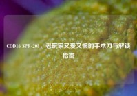 COD16 SPR-208，老玩家又爱又恨的手术刀与解锁指南