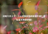 动辄几百上千！PUBG定制皮肤到底值不值？老玩家实用派吵翻！