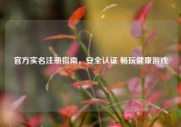 官方实名注册指南，安全认证 畅玩健康游戏