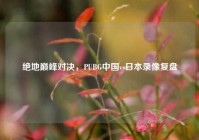 绝地巅峰对决，PUBG中国vs日本录像复盘