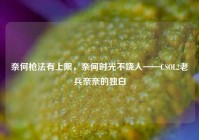 奈何枪法有上限，奈何时光不饶人——CSOL2老兵奈奈的独白