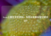 Steam上那片天空传说，为何让无数玩家甘愿沉沦？