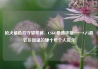 枪火褪色后守望基辅，CSGO爱德华猪——NaVi最软拼图里的硬十年个人简介