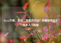 Steam只狼，影逝二度能否试玩？附最新情况+快速入门指南