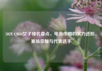 202X CSGO女子排名盘点，电竞巾帼的实力进阶、赛场荣耀与代表选手
