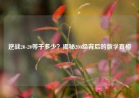 逆战20-20等于多少？揭秘200级背后的数学真相