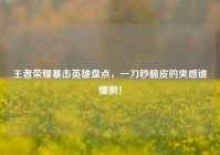 王者荣耀暴击英雄盘点，一刀秒脆皮的爽感谁懂啊！