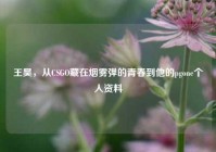 王昊，从CSGO藏在烟雾弹的青春到他的pgone个人资料