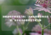 别瞎追和平精英蓝飞机！7大核心隐藏作用全说透，新手老手必看秒变节奏大师