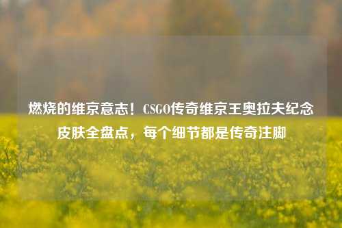 燃烧的维京意志！CSGO传奇维京王奥拉夫纪念皮肤全盘点，每个细节都是传奇注脚