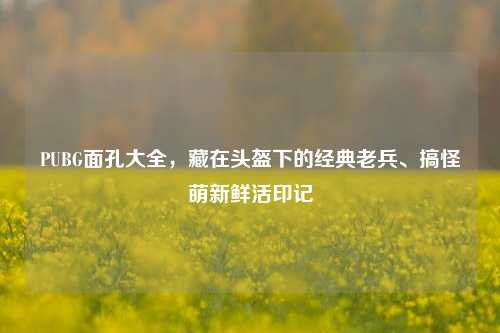 PUBG面孔大全，藏在头盔下的经典老兵、搞怪萌新鲜活印记