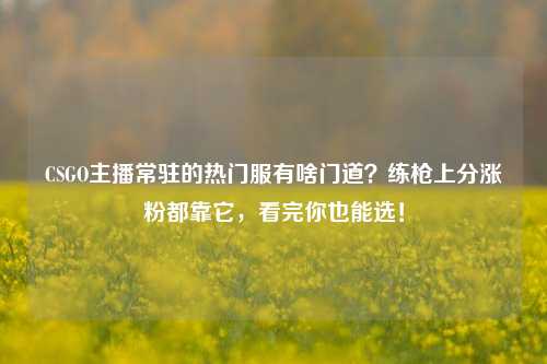CSGO主播常驻的热门服有啥门道？练枪上分涨粉都靠它，看完你也能选！