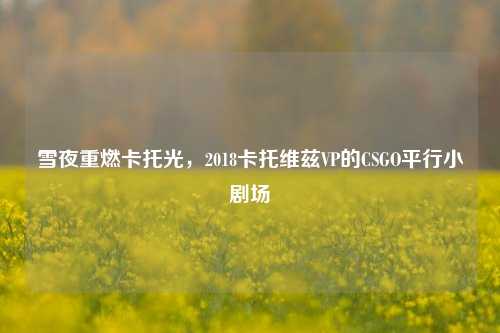 雪夜重燃卡托光，2018卡托维兹VP的CSGO平行小剧场