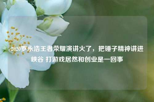 2020罗永浩王者荣耀演讲火了，把锤子精神讲进峡谷 打游戏居然和创业是一回事