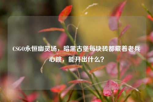 CSGO永恒幽灵场，暗黑古堡每块砖都藏着老兵心跳，能开出什么？