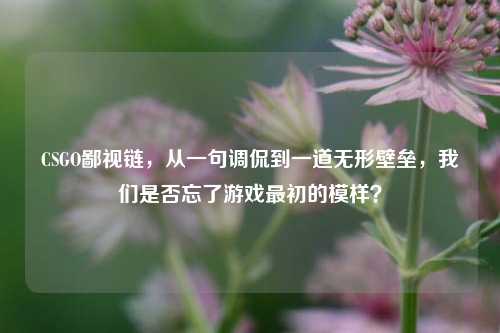 CSGO鄙视链，从一句调侃到一道无形壁垒，我们是否忘了游戏最初的模样？