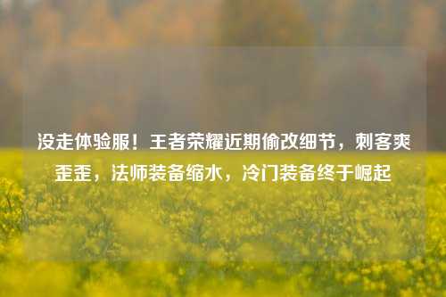 没走体验服！王者荣耀近期偷改细节，刺客爽歪歪，法师装备缩水，冷门装备终于崛起